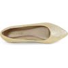 DREAM PAIRS Women’s Dress Pointed Toe Flats Ballet Comfort Soft Slip On Casual Flat Shoes for Work Office Business(Gold/Glitter)