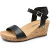DREAM PAIRS Women’s Open Toe Buckle Ankle Strap Platform Wedge Sandals Women 2025(Black/Pu)