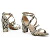DREAM PAIRS Women’s Ankle Strap Dress Pump Low Chunky Heel Sandals(Beige/Snake/Pu)