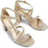 DREAM PAIRS Women’s Ankle Strap Dress Pump Low Chunky Heel Sandals(Gold/Glitter)