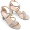 DREAM PAIRS Women’s Ankle Strap Dress Pump Low Chunky Heel Sandals(Gold-rhinestone)