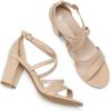 DREAM PAIRS Women’s Ankle Strap Dress Pump Low Chunky Heel Sandals(Nude/Suede)