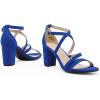DREAM PAIRS Women’s Ankle Strap Dress Pump Low Chunky Heel Sandals(Royal/Blue/Suede)