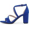 DREAM PAIRS Women’s Ankle Strap Dress Pump Low Chunky Heel Sandals(Royal/Blue/Suede)