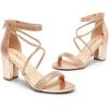 DREAM PAIRS Women’s Chunk Low Heel Pump Sandals(Champagne-pu)