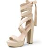 DREAM PAIRS High Heels Chunky Block Platform Heels for Women Strappy Gladiator Sexy Open Toe Heels Dressy Pumps Sandals(Nude)