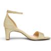 DREAM PAIRS Women’s Square Toe Low Block Chunky Heels Open Toe Ankle Strap Dress Pump Shoes(Gold)