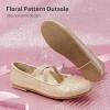 DREAM PAIRS Girls Ballerina Dress Shoes Mary Jane Flats(Gold)