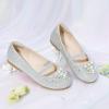 DREAM PAIRS Girls Ballet Flats Flower Shoes Mary Jane Ballerina Flat Dress Shoes for Daily/Wedding/Party(Silver/Glitter)