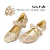 DREAM PAIRS Girls Mary Jane Dress Shoes Pumps Low Heels Flower Party Wedding Princess(Gold-glitter)