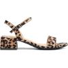 DREAM PAIRS Women’s Low Heels for Women Classic Open Toe Ankle Strap Block Chunky Heel Sandals Holiday Party Wedding Dress Pumps Shoes(Leopard-suede)