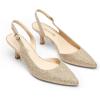 DREAM PAIRS Women’s Kitten Heel Slingback Pointed Closed Toe Low Stiletto Heels Dress Bridal Elegant Wedding Pumps Shoes(Gold-glitter)