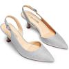 DREAM PAIRS Women’s Kitten Heel Slingback Pointed Closed Toe Low Stiletto Heels Dress Bridal Elegant Wedding Pumps Shoes(Silver-glitter)
