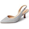 DREAM PAIRS Women’s Kitten Heel Slingback Pointed Closed Toe Low Stiletto Heels Dress Bridal Elegant Wedding Pumps Shoes(Silver-glitter)