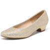 DREAM PAIRS Women’s Mila Low Chunky Heel Pump Shoes(Gold/Glitter)