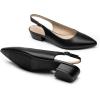 DREAM PAIRS Kitten Slingback Low Block Heels for Women Pointed Closed Toe Business Dress Shoes Wedding Party Comfortable Pumps Shoes(Black)