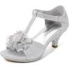 DREAM PAIRS Girls Sandals Low Heel Dress Pump Ankle T Strap Flower Shoes Toddler/Little Kid/Big Kid(Silver)