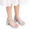 DREAM PAIRS Girls Sandals Open Toe Low Block Chunky Heels Sandals Party Dress Pumps Shoes for Little Big Kid(Silver-glitter)