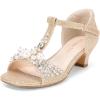 DREAM PAIRS Girls Sandals Ankle Strap T-Strap Low Heel Pearl Bow Flower Pump Dress Wedding Party Shoes for Little Kid/Big Kid(Gold)