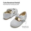 DREAM PAIRS Toddler Flower Girl Dress Shoes Little Girls Mary Janes Ballet Flats Ballerina Shoes Wedding Party(Silver/Glitter)
