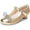 DREAM PAIRS Girls Dress Shoes Mary Jane Heel T-Strap Party Flower Wedding Princess Pumps for Little Big Kid(Gold)