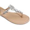 DREAM PAIRS Flip Flops for Women Dressy Rhinestone T-Strap Thong Sandals for Summers Dress Beach(Nude)