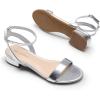 DREAM PAIRS Women Black White Nude Clear Sandals Low Heel Dressy Sandals Ankle Strap Open Toe Chunky Block Heeled Summer Classic Comfortable Flat Shoes(Silver)