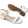 DREAM PAIRS Women Black White Nude Clear Sandals Low Heel Dressy Sandals Ankle Strap Open Toe Chunky Block Heeled Summer Classic Comfortable Flat Shoes(White Classic)