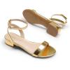 DREAM PAIRS Women Black White Nude Clear Sandals Low Heel Dressy Sandals Ankle Strap Open Toe Chunky Block Heeled Summer Classic Comfortable Flat Shoes(Gold)