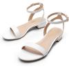 DREAM PAIRS Women Black White Nude Clear Sandals Low Heel Dressy Sandals Ankle Strap Open Toe Chunky Block Heeled Summer Classic Comfortable Flat Shoes(White)