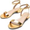 DREAM PAIRS Women Black White Nude Clear Sandals Low Heel Dressy Sandals Ankle Strap Open Toe Chunky Block Heeled Summer Classic Comfortable Flat Shoes(Gold)