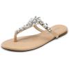 DREAM PAIRS Flip Flops for Women Dressy Rhinestone T-Strap Thong Sandals for Summers Dress Beach(Nude)