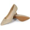 DREAM PAIRS Women’s Pumps Closed Toe Pointed Toe Kitten Heels for Women Party Dance Wedding Dress Shoes for Women(Gold)