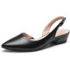 DREAM PAIRS Womens Slingback Kitten Low Block Heels Closed Pointed Toe Ankle Strap Elegant Dressy Pumps Wedding Party Dress Shoes for Women(Black)