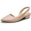 DREAM PAIRS Womens Slingback Kitten Low Block Heels Closed Pointed Toe Ankle Strap Elegant Dressy Pumps Wedding Party Dress Shoes for Women(Nude)