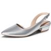 DREAM PAIRS Womens Slingback Kitten Low Block Heels Closed Pointed Toe Ankle Strap Elegant Dressy Pumps Wedding Party Dress Shoes for Women(Silver)