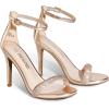 DREAM PAIRS Women’s High Heels Flower Ankle Strap Stilettos Round Open Toe Dressy Sexy Sandals(Champagne  Silver)