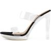 DREAM PAIRS Women’s Clear Two Strap Open Toe High Block Chunky Slip on Dress Heel Sandals(Black/Clear)