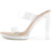 DREAM PAIRS Women’s Clear Two Strap Open Toe High Block Chunky Slip on Dress Heel Sandals(Nude/Clear)