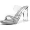DREAM PAIRS Women’s Clear Two Strap Open Toe High Block Chunky Slip on Dress Heel Sandals(Silver-clear)