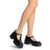 DREAM PAIRS Women’s T-Strap Mary Jane Shoes Low Platform Chunky Block Heels Closed Toe Work Pumps Comfortable Round Toe Dress Wedding Party Shoes(Black-pat)