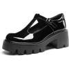 DREAM PAIRS Women’s T-Strap Mary Jane Shoes Low Platform Chunky Block Heels Closed Toe Work Pumps Comfortable Round Toe Dress Wedding Party Shoes(Black-pat)