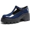 DREAM PAIRS Women’s T-Strap Mary Jane Shoes Low Platform Chunky Block Heels Closed Toe Work Pumps Comfortable Round Toe Dress Wedding Party Shoes(Navy)