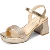 DREAM PAIRS Girls Sandals Open Toe Low Block Chunky Heels Sandals Party Dress Pumps Shoes for Little Big Kid(All Gold Glitter)