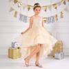 DREAM PAIRS Girls Sandals Low Heel Dress Pump Ankle Strap Flower Wedding Party Shoes for Little Kid/Big Kid(Gold)