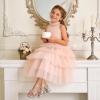 DREAM PAIRS Girls Sandals Open Toe Low Block Chunky Heels Sandals Bow Flower Party Dress Pumps Shoes for Little Big Kid(Silver)