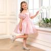 DREAM PAIRS Girls Dress Shoes Mary Jane Double Straps High Heel Easter Wedding Party Church Princess Communion Pumps for Little/Big Kids(Silver)