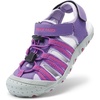 All Purple