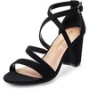 DREAM PAIRS Women’s Block Chunky Heels Sandals Open Toe Ankle Strappy Comfortable Dressy Sandals for Bridal Wedding Prom Party with Adjustable Cross Strap(Black-nubuck)