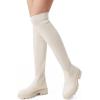 DREAM PAIRS Bottes au-Dessus du Genou pour Femmes Cuissardes à la Mode Coque Tricotée en TPR Durable Confortable Botte sur Le Genou(Beige)